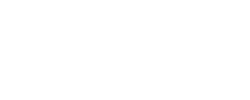 The ACE Institute